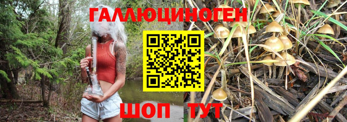Галлюциногенные грибы MAGIC MUSHROOMS  Псилоцибиновые грибы прущие грибы  Вход с VPN  Нововоронеж 